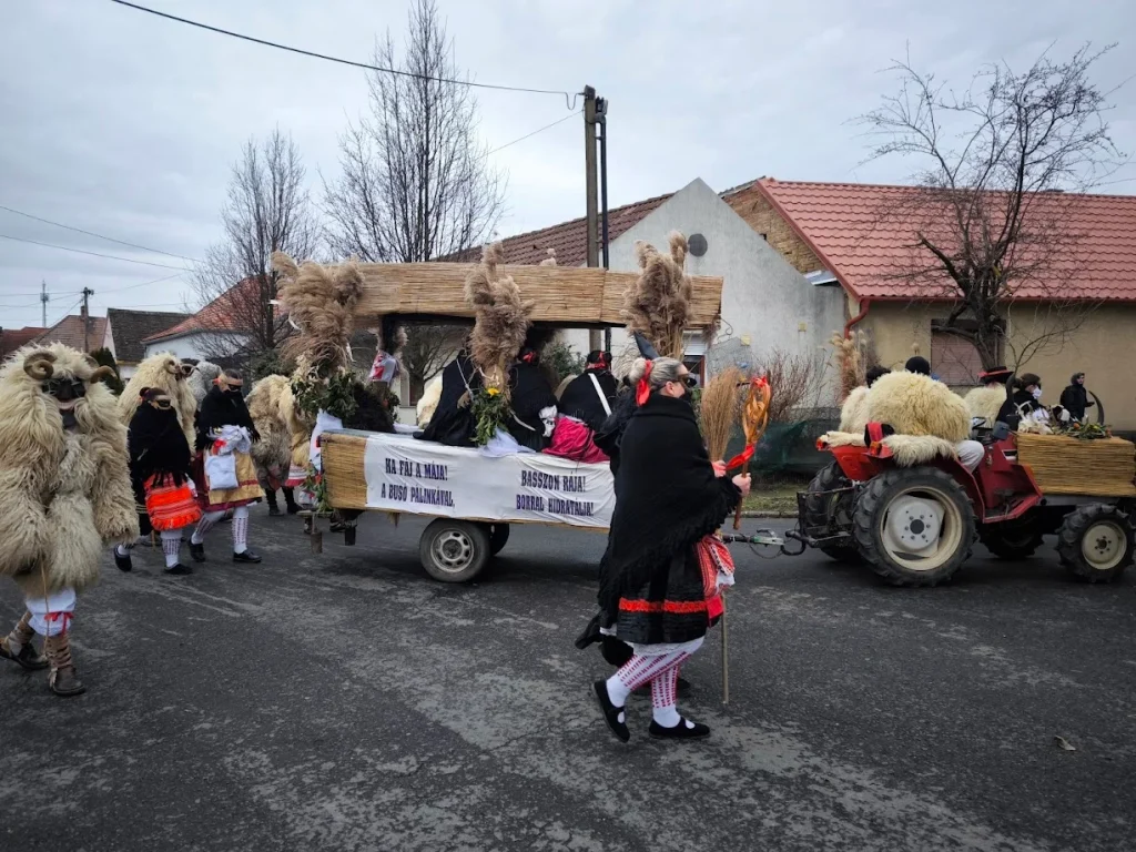 Feldíszített traktor a busó felvonuláson