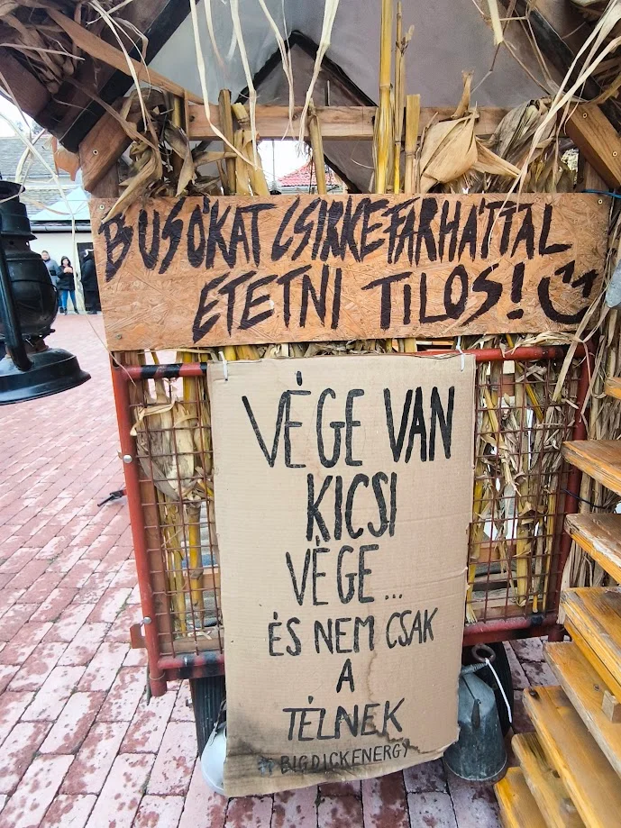 Feldíszített traktor a busó felvonuláson