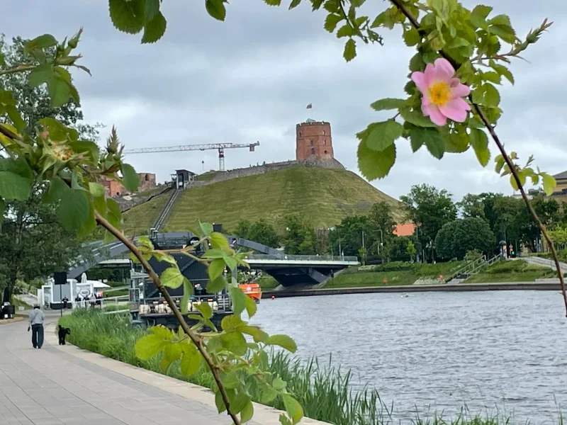 Vilnius