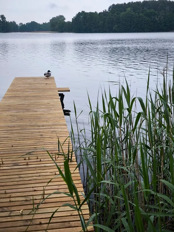 Trakai