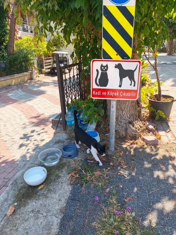 Isztambul (Istanbul) Márvány-tenger hajókirándulás, Heybeliada