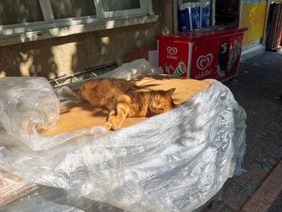 Isztambul (Istanbul) Márvány-tenger hajókirándulás, Heybeliada