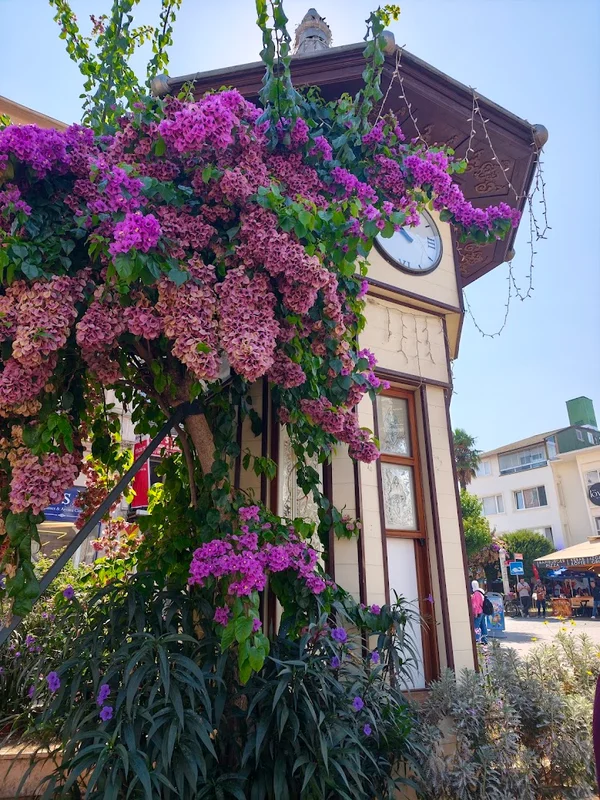 Isztambul (Istanbul) Márvány-tenger hajókirándulás, Büyükada
