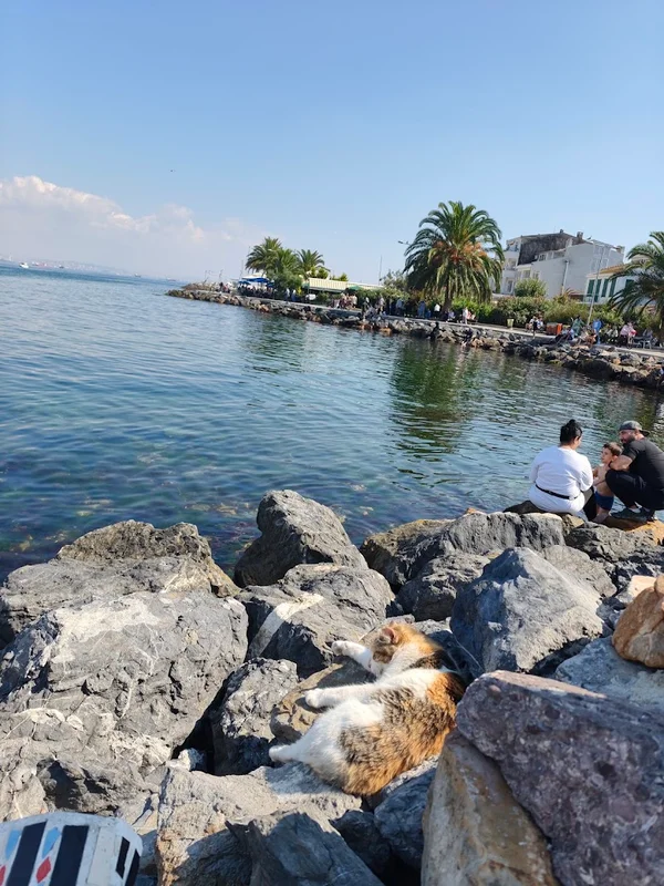 Isztambul (Istanbul) Márvány-tenger hajókirándulás, Büyükada