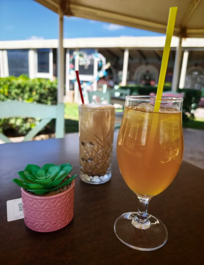 Zakynthos, Kalamaki, Cat Cafe